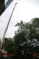 Notre école en travaux - 2016